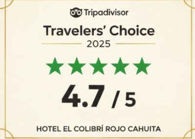 WhatsApp Image 2025-12-27 at 15.31.16